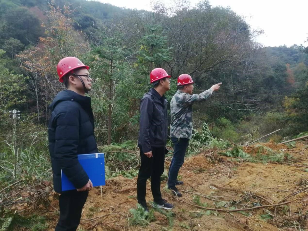 全面強化安全責任，嚴守森林防火線——福建金森全力保障生產安全