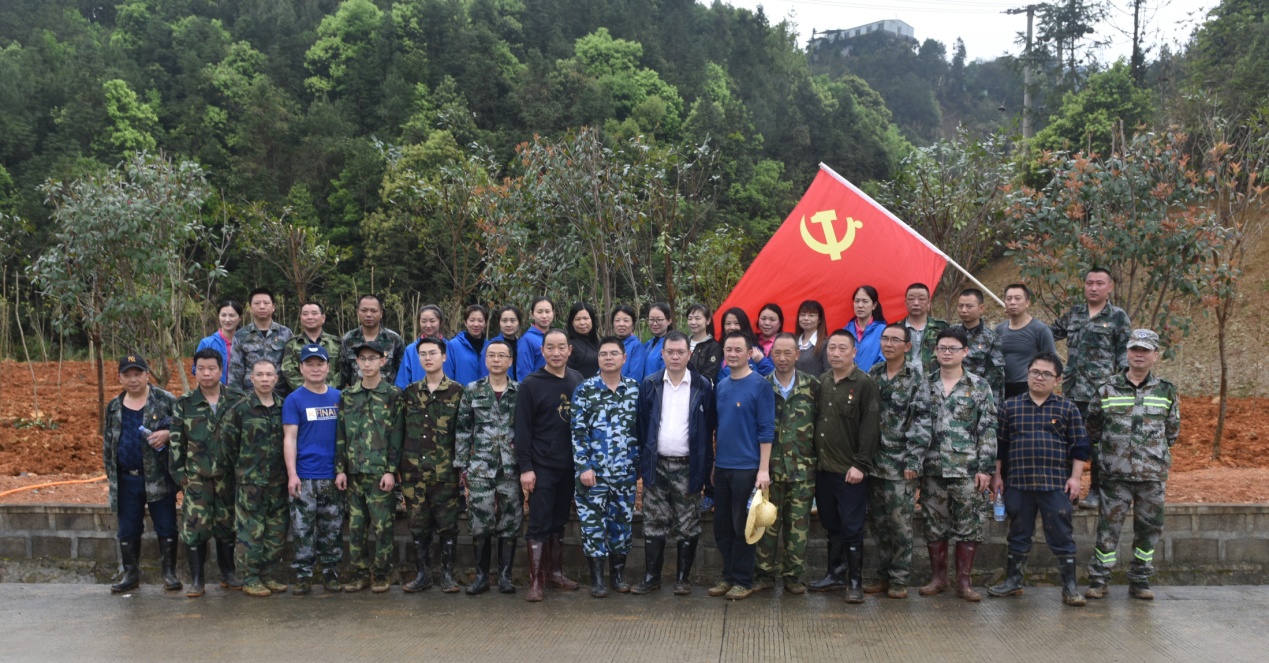 陽春三月雨,正是植樹好時節 陽春三月雨,正是植樹好時節