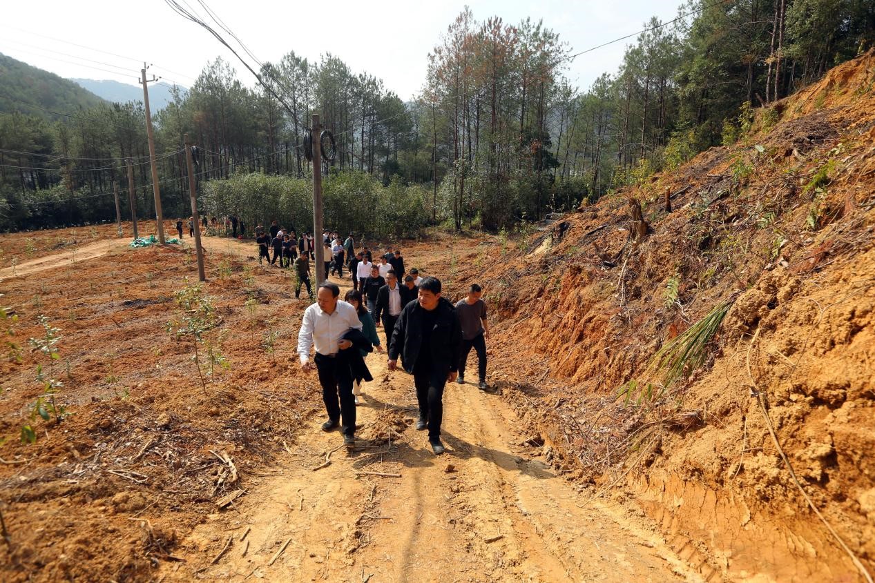 不負春光好,搶播萬畝林 ——將樂縣村企合作造林工作現(xiàn)場會在福建金森召開 不負春光好,搶播萬畝林 ——將樂縣村企合作造林工作現(xiàn)場會在福建金森召開