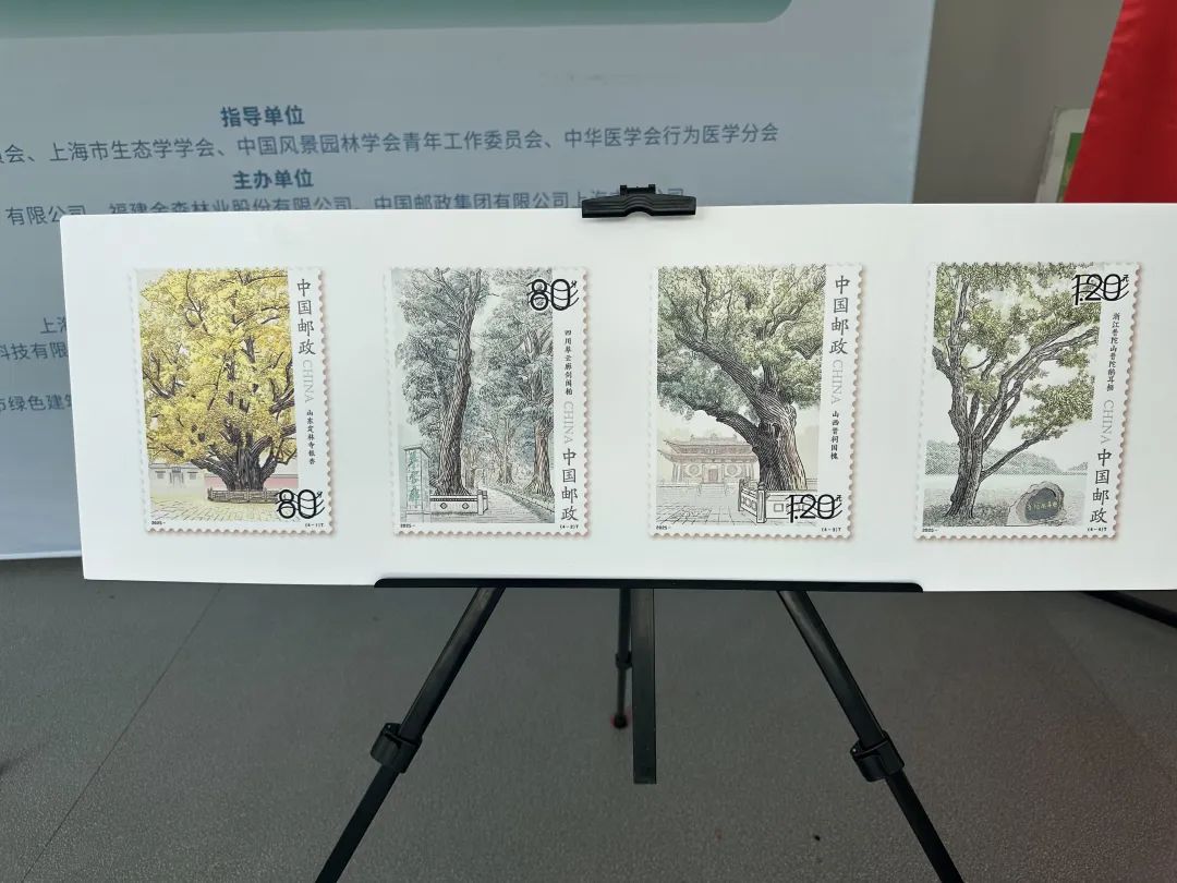 全國生態日來了!福建金森攜手舉辦上海“山海同普·杏好有你”活動 全國生態日來了!福建金森攜手舉辦上海“山海同普·杏好有你”活動